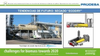 24
TENDENCIAS DE FUTURO: SECADO “ECODRY”
Situación real y tendencias de futuro en el control de emisiones en fábricas de p...