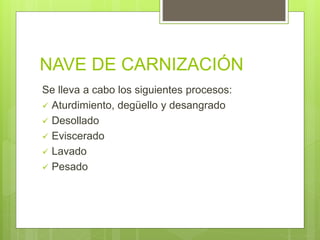 NAVE DE CARNIZACIÓN
Se lleva a cabo los siguientes procesos:
 Aturdimiento, degüello y desangrado
 Desollado
 Eviscerado
 Lavado
 Pesado
 