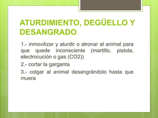 ATURDIMIENTO, DEGÜELLO Y
DESANGRADO
1.- inmovilizar y aturdir o atronar al animal para
que quede inconsciente (martillo, pistola,
electrocución o gas (CO2))
2.- cortar la garganta
3.- colgar al animal desangrándolo hasta que
muera
 