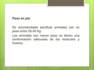 Peso en pie:
Es recomendable sacrificar animales con un
peso entre 25-30 Kg.
Los animales con menor peso no tienen una
conformación adecuada de los músculos y
huesos.
 