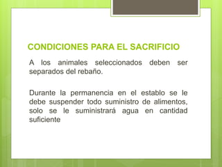CONDICIONES PARA EL SACRIFICIO
A los animales seleccionados deben ser
separados del rebaño.
Durante la permanencia en el establo se le
debe suspender todo suministro de alimentos,
solo se le suministrará agua en cantidad
suficiente
 