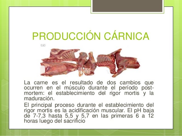 Produccion De Carne De Cabra