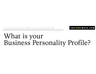 How Do You Work Best? Learn Which of the 10 Business Personality Profiles you have
