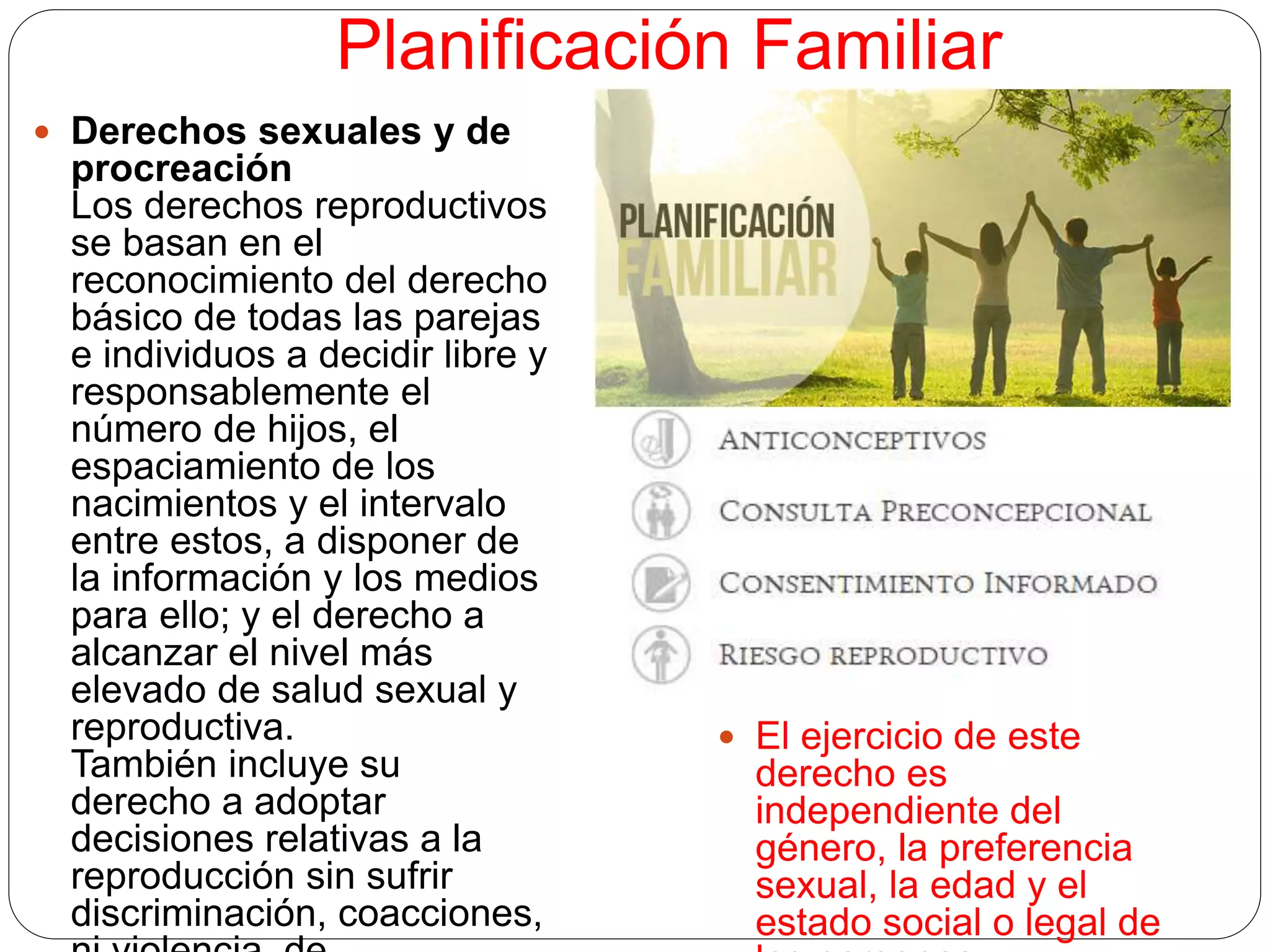 10 programas de atencion primaria de la salud | PPTX