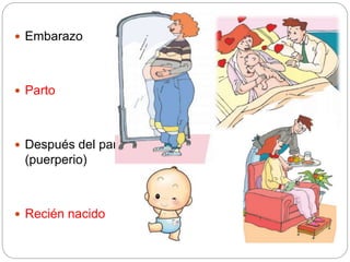  Embarazo
 Parto
 Después del parto
(puerperio)
 Recién nacido
 