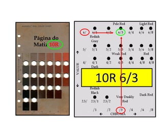 Página do
Matiz 10R
10R 6/3
 