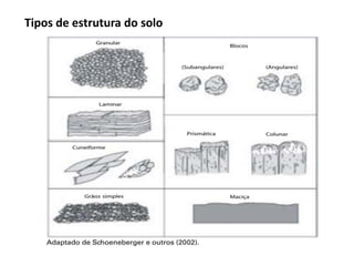 Tipos de estrutura do solo
 