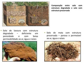  Solo de mata com estrutura
preservada – poroso e permeável
ao ar, água e raízes
 Solo de lavoura com estrutura
degradada – deficiente em
porosidade e com baixa
permeabilidade ao ar, água e raízes
Comparação entre solo com
estrutura degradada e solo com
estrutura preservada
 