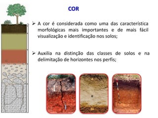 COR
 A cor é considerada como uma das característica
morfológicas mais importantes e de mais fácil
visualização e identificação nos solos;
 Auxilia na distinção das classes de solos e na
delimitação de horizontes nos perfis;
 