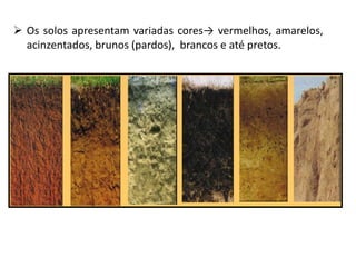  Os solos apresentam variadas cores→ vermelhos, amarelos,
acinzentados, brunos (pardos), brancos e até pretos.
 