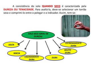 SOLO SECO (GRAU DE
DUREZA)
SOLTA
MACIA
LIGEIRAMENTE
DURA
DURA
MUITO
DURA
EXTREMAMENTE
DURA
A consistência do solo QUANDO SECO é caracterizada pela
DUREZA OU TENACIDADE. Para avaliá-la, deve-se selecionar um torrão
seco e comprimi-lo entre o polegar e o indicador. Assim, tem-se:
 