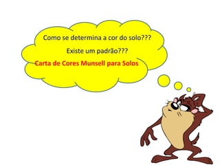 Como se determina a cor do solo???
Existe um padrão???
Carta de Cores Munsell para Solos
 