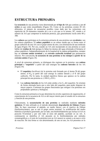 Proteínas Página 5 de 17
ESTRUCTURA PRIMARIA
La secuencia de una proteína viene determinada por el tipo de AA que contiene y por el
orden en que están ensamblados (Figura 18). Como en las proteínas existen 20 AA
diferentes, el número de secuencias posibles viene dado por las variaciones con
repetición de 20 elementos tomados de n en n o,lo que es lo mismo, 20n
, siendo n el
número de AA que componen la molécula proteica, que generalmente oscila entre 80 y
300.
Los enlaces que participan en la estructura primaria de una proteína son covalentes: son
los enlaces peptídicos. El enlace peptídico es un enlace amida que se forma entre el
grupo carboxilo de una AA con el grupo amino de otro, con eliminación de una molécula
de agua (Figura 18). Por eso, cuando un AA está incorporado en una proteína se suele
hablar de residuo de AA (porque le faltan los átomos del agua eliminada al formarse el
enlace peptídico). Independientemente de la longitud de la cadena polipeptídica, siempre
hay un extremo amino terminal y un extremo carboxilo terminal que permanecen
intactos. Por convención, la secuencia de una proteína se lee siempre a partir de su
extremo amino (Figura 18).
A nivel de estructura primaria, se distinguen dos regiones en la proteína: una cadena
principal o "esqueleto" a partir del cual emergen las cadenas laterales de los AA
(Figura 19):
• El esqueleto (backbone) de la proteína está formado por el átomo N del grupo
amino, el Cα (a partir del cual emerge la cadena lateral) y el C del grupo
carboxilo. Por lo tanto, la unidad repetitiva básica que aparece en la cadena
principal de una proteína es: (-NH-Cα-CO-).
• Las cadenas laterales de los AA están unidas a los Cα del esqueleto. Se orientan
de forma alternada hacia uno u otro lado del esqueleto, para poder disponer de
mayor espacio. Contienen los grupos funcionales que otorgan a las proteínas sus
propiedades químicas y biológicas.
Como la estructura primaria es la que determina los niveles superiores de organización, el
conocimiento de la secuencia de AA es del mayor interés para el estudio de la estructura
y función de una proteína.
Clásicamente, la secuenciación de una proteína se realizaba mediante métodos
químicos. El más utilizado es el método denominado degradación de Edman (Figura
20a). Se hace reaccionar al péptido, en medio básico, con el reactivo de Edman
(fenilisotiocianato), que se une al grupo amino terminal. La acidificación del medio
hidroliza al producto generando, por un lado, una feniltiohidantoína que incluye al AA en
posición N-terminal y por otro lado al resto del péptido, acortado en un AA. A
continuación se identifica el AA presente en la feniltioidantoína por métodos
cromatográficos y el resto de la proteína (con un AA menos) se somete a un nuevo ciclo
de reacción. De esta forma se van determinando, de uno en uno, los AA presentes en la
 