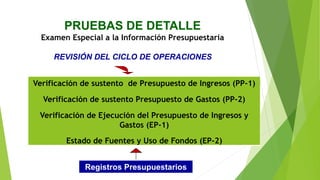 PRUEBAS DE DETALLE
Examen Especial a la Información Presupuestaria
REVISIÓN DEL CICLO DE OPERACIONES
Verificación de sustento de Presupuesto de Ingresos (PP-1)
Verificación de sustento Presupuesto de Gastos (PP-2)
Verificación de Ejecución del Presupuesto de Ingresos y
Gastos (EP-1)
Estado de Fuentes y Uso de Fondos (EP-2)
Registros Presupuestarios
 