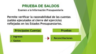 PRUEBA DE SALDOS
Examen a la Información Presupuestaria
Permite verificar la razonabilidad de las cuentas
(saldos ejecutados al cierre del ejercicio)
reflejadas en los Estados Presupuestarios.
Principales Cuentas Pruebas
ƒ Ingresos
ƒ Gastos
ƒ Reconciliaciones
 