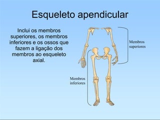 Esqueleto apendicular
Inclui os membros
superiores, os membros
inferiores e os ossos que
fazem a ligação dos
membros ao esqueleto
axial.
Membros
inferiores
Membros
superiores
 