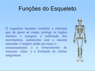 Funções do Esqueleto
O esqueleto humano constitui a estrutura
que dá apoio ao corpo, protege os órgãos
internos e assegura a realização dos
movimentos, juntamente com o sistema
muscular. Compete ainda aos ossos o
e o fornecimento de
e a formação de células
armazenamento
minerais vitais
sanguíneas.
 