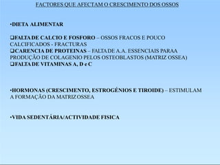 FACTORES QUE AFECTAM O CRESCIMENTO DOS OSSOS
•DIETA ALIMENTAR
FALTADE CALCIO E FOSFORO – OSSOS FRACOS E POUCO
CALCIFICADOS - FRACTURAS
CARENCIA DE PROTEINAS – FALTADE A.A. ESSENCIAIS PARAA
PRODUÇÃO DE COLAGENIO PELOS OSTEOBLASTOS (MATRIZ OSSEA)
FALTADE VITAMINAS A, D e C
•HORMONAS (CRESCIMENTO, ESTROGÉNIOS E TIROIDE) – ESTIMULAM
A FORMAÇÃO DA MATRIZOSSEA
•VIDA SEDENTÁRIA/ACTIVIDADE FISICA
 