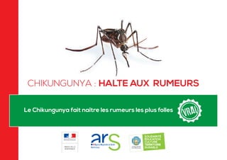 Le Chikungunya fait naître les rumeurs les plus folles
CHIKUNGUNYA : HALTE AUX RUMEURS
 