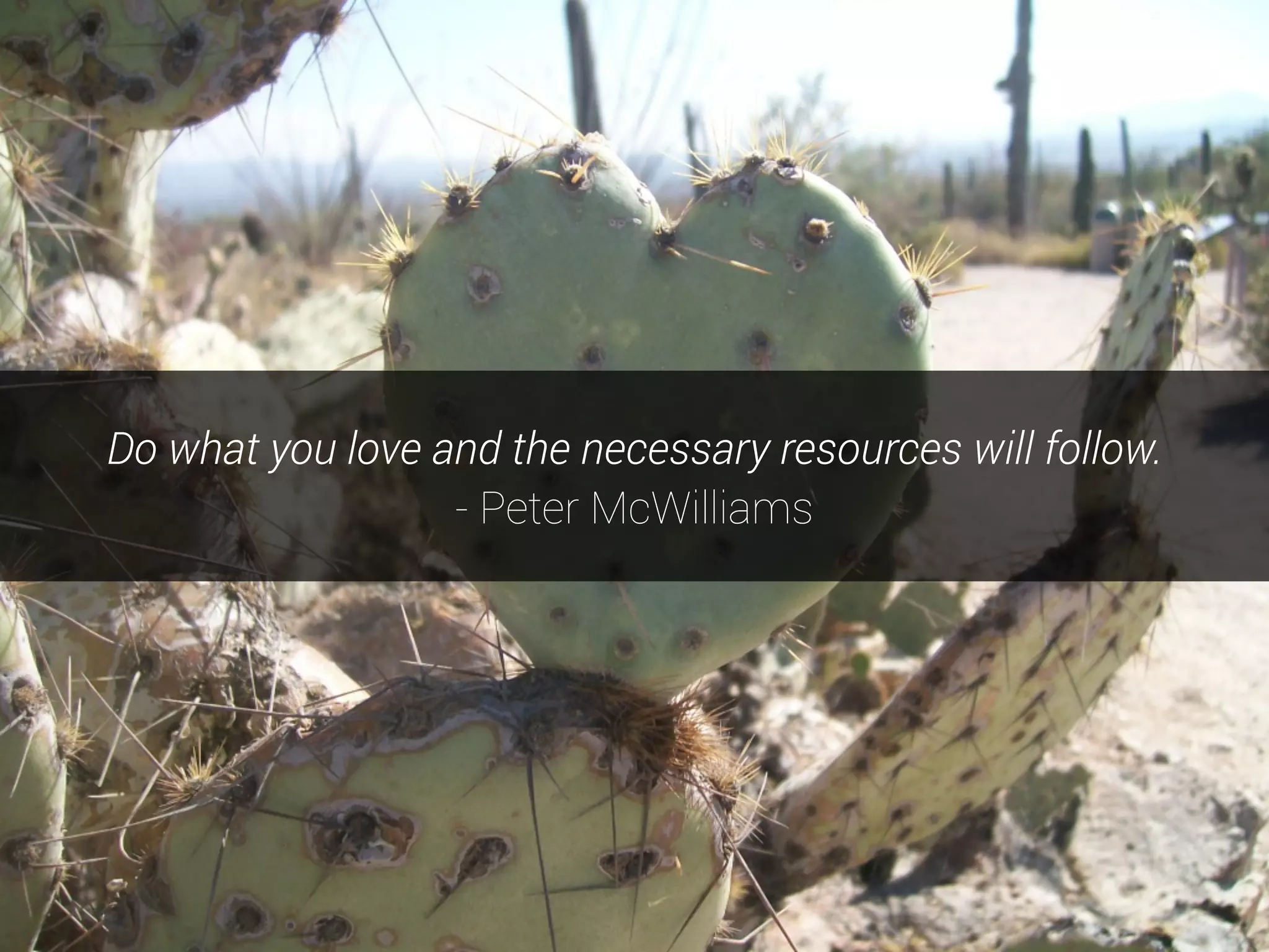 Do what you love and the necessary resources will follow.
- Peter McWilliams
 