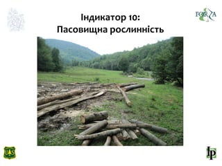 10 rangeland vegetation mo_ukr
