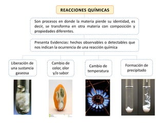 REACCIONES QUÍMICAS
Son procesos en donde la materia pierde su identidad, es
decir, se transforma en otra materia con composición y
propiedades diferentes.
Presenta Evidencias: hechos observables o detectables que
nos indican la ocurrencia de una reacción química
Liberación de
una sustancia
gaseosa
Cambio de
color, olor
y/o sabor
Cambio de
temperatura
Formación de
precipitado
 