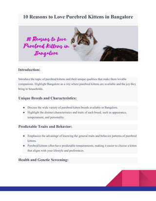 10 Reasons to Love Purebred Kittens in Bangalore
Introduction:
Introduce the topic of purebred kittens and their unique qualities that make them lovable
companions. Highlight Bangalore as a city where purebred kittens are available and the joy they
bring to households.
Unique Breeds and Characteristics:
● Discuss the wide variety of purebred kitten breeds available in Bangalore.
● Highlight the distinct characteristics and traits of each breed, such as appearance,
temperament, and personality.
Predictable Traits and Behavior:
● Emphasize the advantage of knowing the general traits and behavior patterns of purebred
kittens.
● Purebred kittens often have predictable temperaments, making it easier to choose a kitten
that aligns with your lifestyle and preferences.
Health and Genetic Screening:
 