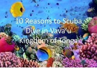 10 Reasons to Scuba
Dive in Vava’u
Kingdom of Tonga
 