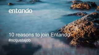 10 reasons to join
Entando
#notjustajob
Cover photo to change OR to find a higher resolution
10 reasons to join Entando
#notjustajob
 