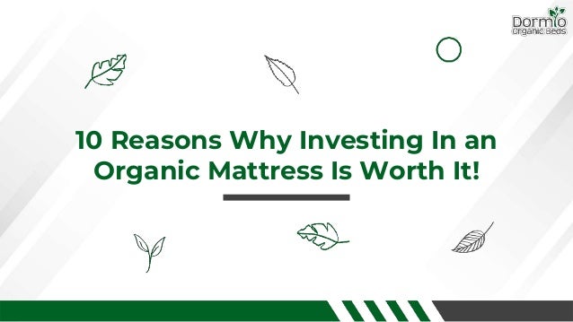 10 Reasons Why Investing In an
Organic Mattress Is Worth It!
 