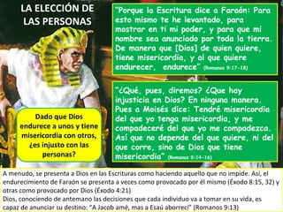 LA ELECCIÓN DE LAS PERSONAS “ Porque la Escritura dice a Faraón: Para esto mismo te he levantado, para mostrar en ti mi poder, y para que mi nombre sea anunciado por toda la tierra. De manera que [Dios] de quien quiere, tiene misericordia, y al que quiere endurecer,  endurece”  (Romanos 9:17-18) A menudo, se presenta a Dios en las Escrituras como haciendo aquello que no impide. Así, el endurecimiento de Faraón se presenta a veces como provocado por él mismo (Éxodo 8:15, 32) y otras como provocado por Dios (Éxodo 4:21) Dios, conociendo de antemano las decisiones que cada individuo va a tomar en su vida, es capaz de anunciar su destino: “A Jacob amé, mas a Esaú aborrecí” (Romanos 9:13) Dado que Dios endurece a unos y tiene misericordia con otros, ¿es injusto con las personas? “ ¿Qué, pues, diremos? ¿Que hay injusticia en Dios? En ninguna manera. Pues a Moisés dice: Tendré misericordia del que yo tenga misericordia, y me compadeceré del que yo me compadezca. Así que no depende del que quiere, ni del que corre, sino de Dios que tiene misericordia”  (Romanos 9:14-16) 
