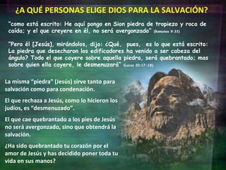 “ Pero él [Jesús], mirándolos, dijo: ¿Qué,  pues,  es lo que está escrito: La piedra que desecharon los edificadores ha venido a ser cabeza del ángulo? Todo el que cayere sobre aquella piedra, será quebrantado; mas sobre quien ella cayere, le desmenuzará”  (Lucas 20:17-18) “ como está escrito: He aquí pongo en Sion piedra de tropiezo y roca de caída; y el que creyere en él, no será avergonzado”  (Romanos 9:33) La misma “piedra” (Jesús) sirve tanto para salvación como para condenación. El que rechaza a Jesús, como lo hicieron los judíos, es “desmenuzado”. El que cae quebrantado a los pies de Jesús no será avergonzado, sino que obtendrá la salvación. ¿Ha sido quebrantado tu corazón por el amor de Jesús y has decidido poner toda tu vida en sus manos? ¿A QUÉ PERSONAS ELIGE DIOS PARA LA SALVACIÓN? 