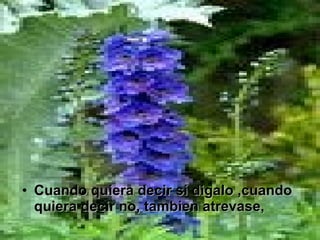 Cuando quiera decir si digalo ,cuando quiera decir no, tambien atrevase,
