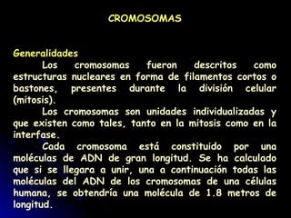 CROMOSOMAS
Generalidades
Los cromosomas fueron descritos como
estructuras nucleares en forma de filamentos cortos o
bastones, presentes durante la división celular
(mitosis).
Los cromosomas son unidades individualizadas y
que existen como tales, tanto en la mitosis como en la
interfase.
Cada cromosoma está constituido por una
moléculas de ADN de gran longitud. Se ha calculado
que si se llegara a unir, una a continuación todas las
moléculas del ADN de los cromosomas de una células
humana, se obtendría una molécula de 1.8 metros de
longitud.
 