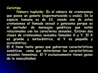 Cariotipo
Número haploide: Es el número de cromosomas
que posee un gameto (espermatozoide u ovulo). En la
especie humana es de 23, siendo uno de estos
cromosomas el llamado sexual o gonosoma porque es
el portador de mensajes genéticos que están
relacionados con los caracteres sexuales. Existen dos
clases de cromosomas sexuales llamados X y Y. El X
es grande y metacéntrico, el Y es pequeño y
acrocéntrico.
El X tiene tanto genes que gobiernan características
somáticas como que determinan las características
sexuales femeninas. El Y exclusivamente tienen genes
de la masculinidad.
 