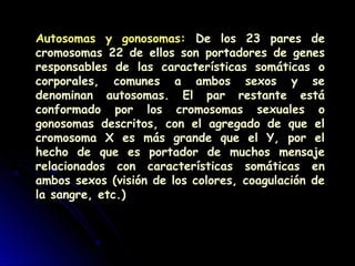 Autosomas y gonosomas: De los 23 pares de
cromosomas 22 de ellos son portadores de genes
responsables de las características somáticas o
corporales, comunes a ambos sexos y se
denominan autosomas. El par restante está
conformado por los cromosomas sexuales o
gonosomas descritos, con el agregado de que el
cromosoma X es más grande que el Y, por el
hecho de que es portador de muchos mensaje
relacionados con características somáticas en
ambos sexos (visión de los colores, coagulación de
la sangre, etc.)
 
