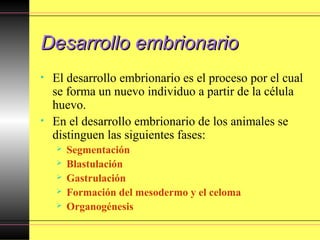 Desarrollo embrionarioDesarrollo embrionario
• El desarrollo embrionario es el proceso por el cual
se forma un nuevo individuo a partir de la célula
huevo.
• En el desarrollo embrionario de los animales se
distinguen las siguientes fases:
 Segmentación
 Blastulación
 Gastrulación
 Formación del mesodermo y el celoma
 Organogénesis
 