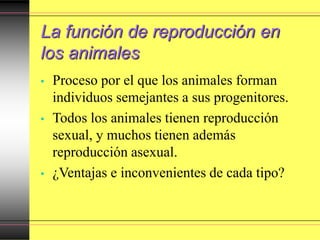 La función de reproducción en
los animales
• Proceso por el que los animales forman
individuos semejantes a sus progenitores.
• Todos los animales tienen reproducción
sexual, y muchos tienen además
reproducción asexual.
• ¿Ventajas e inconvenientes de cada tipo?
 