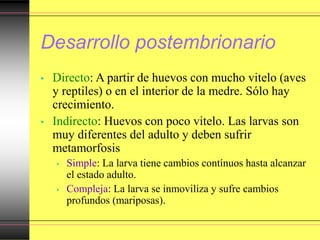 Desarrollo postembrionario
• Directo: A partir de huevos con mucho vitelo (aves
y reptiles) o en el interior de la medre. Sólo hay
crecimiento.
• Indirecto: Huevos con poco vitelo. Las larvas son
muy diferentes del adulto y deben sufrir
metamorfosis
• Simple: La larva tiene cambios contínuos hasta alcanzar
el estado adulto.
• Compleja: La larva se inmoviliza y sufre cambios
profundos (mariposas).
 