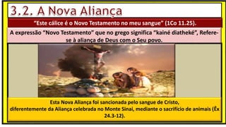 “Este cálice é o Novo Testamento no meu sangue” (1Co 11.25).
A expressão “Novo Testamento” que no grego significa “kainé diatheké”, Refere-
se à aliança de Deus com o Seu povo.
Esta Nova Aliança foi sancionada pelo sangue de Cristo,
diferentemente da Aliança celebrada no Monte Sinai, mediante o sacrifício de animais (Êx
24.3-12).
 