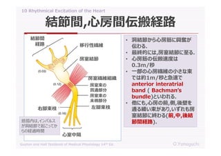 10 rhythmical excitation of the heart | PDF