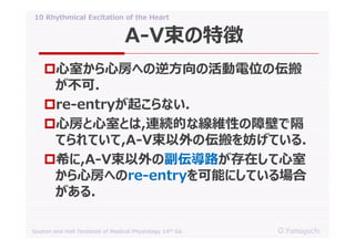10 rhythmical excitation of the heart | PDF