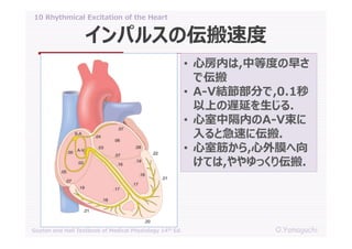 10 rhythmical excitation of the heart | PDF