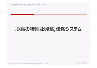 10 rhythmical excitation of the heart | PDF