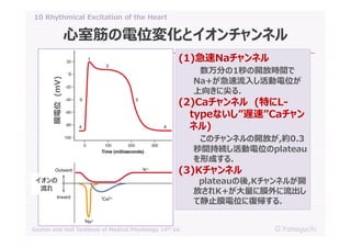 10 rhythmical excitation of the heart | PDF