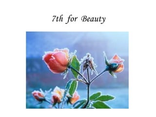 7th  for  Beauty 