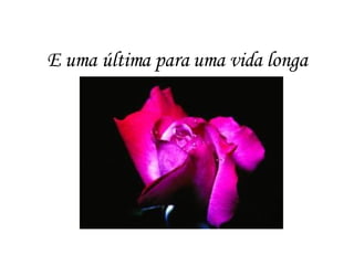 E uma última para uma vida longa                                                