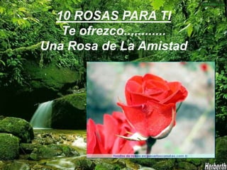 10 ROSAS PARA TI Te ofrezco............ Una Rosa de La Amistad 