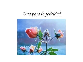Una para la felicidad
 