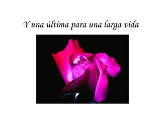 Y una última para una larga vida
 